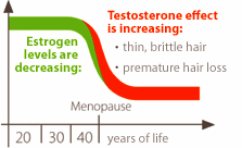 Estrogen